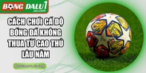 Cách Chơi Cá Độ Bóng Đá Không Thua